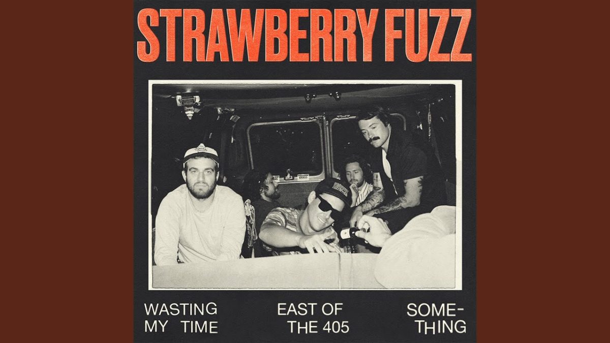 Strawberry Fuzz – Wasting My Time